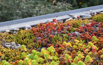 the cost of Birling Gap green roof installation
